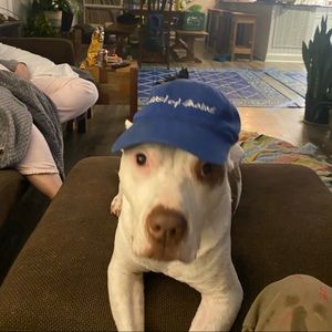 Meet your Posher, Rob